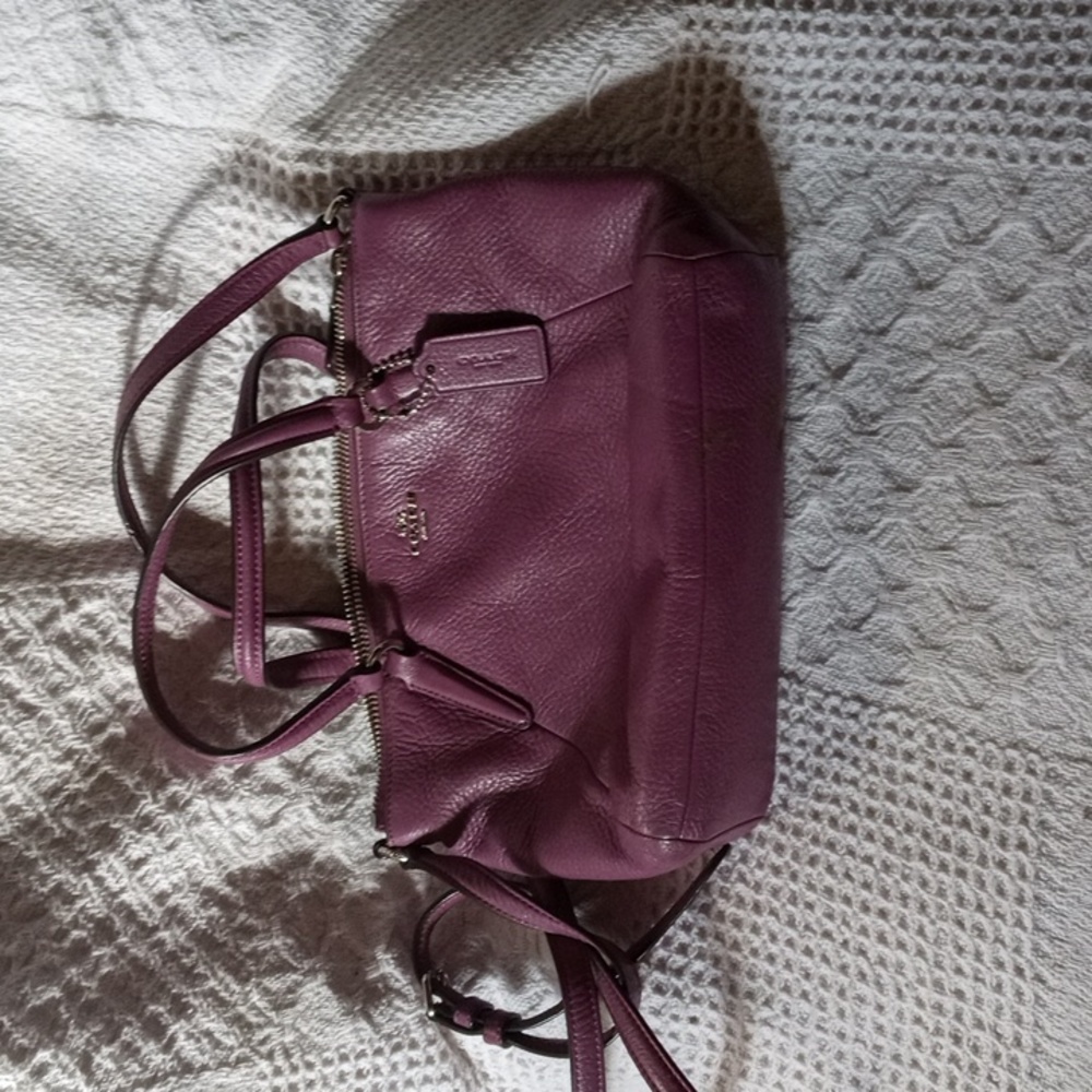 Coach small Kelsey bag